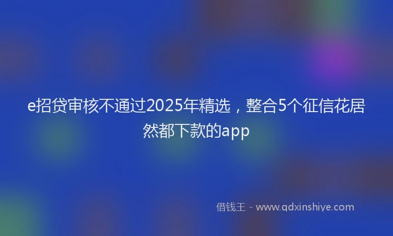 e招贷审核不通过2025年精选，整合5个征信花居然都下款的app
