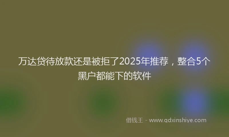 万达贷待放款还是被拒了2025年推荐，整合5个黑户都能下的软件