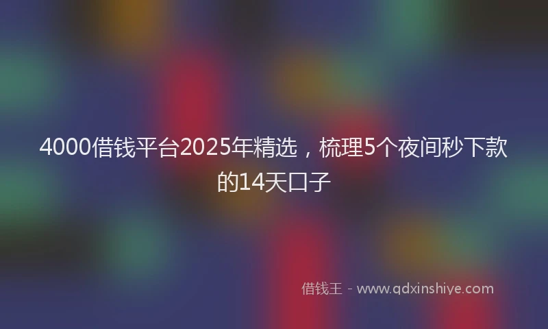 4000借钱平台2025年精选，梳理5个夜间秒下款的14天口子