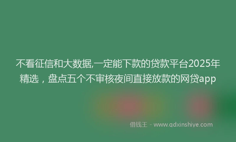 不看征信和大数据,一定能下款的贷款平台2025年精选，盘点五个不审核夜间直接放款的网贷app