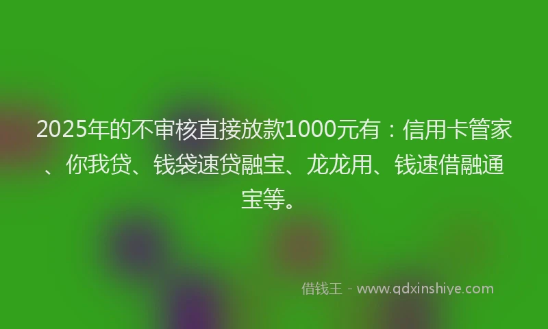 2025年的不审核直接放款1000元有：信用卡管家、你我贷、钱袋速贷融宝、龙龙用、钱速借融通宝等。