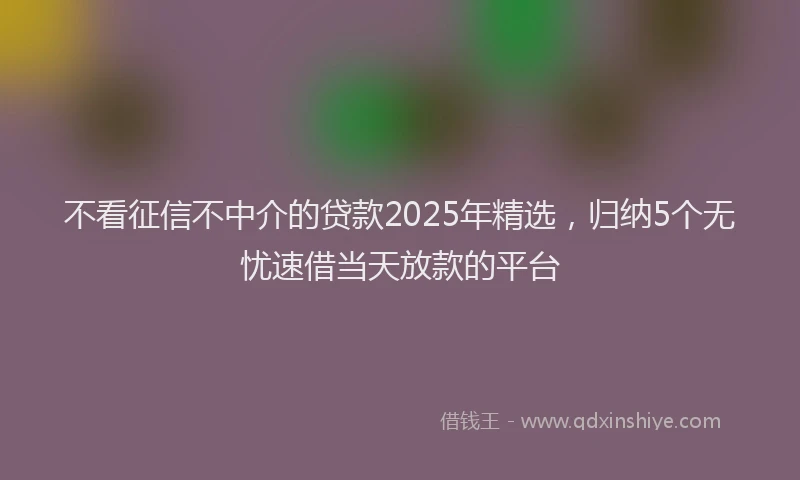 不看征信不中介的贷款2025年精选，归纳5个无忧速借当天放款的平台