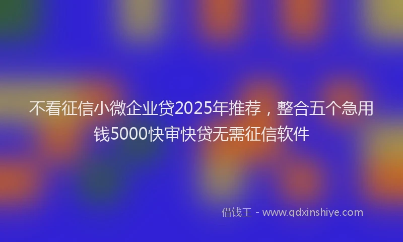 不看征信小微企业贷2025年推荐，整合五个急用钱5000快审快贷无需征信软件