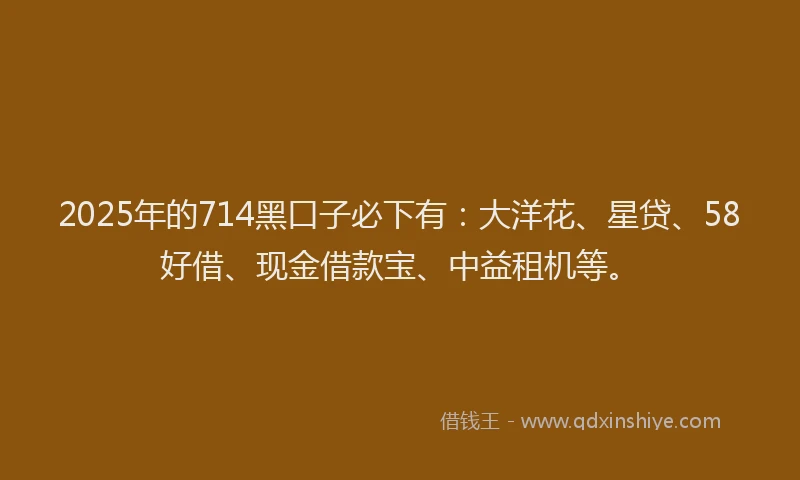 2025年的714黑口子必下有：大洋花、星贷、58好借、现金借款宝、中益租机等。