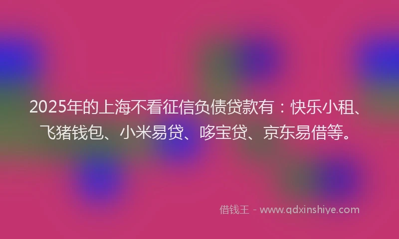 2025年的上海不看征信负债贷款有：快乐小租、飞猪钱包、小米易贷、哆宝贷、京东易借等。