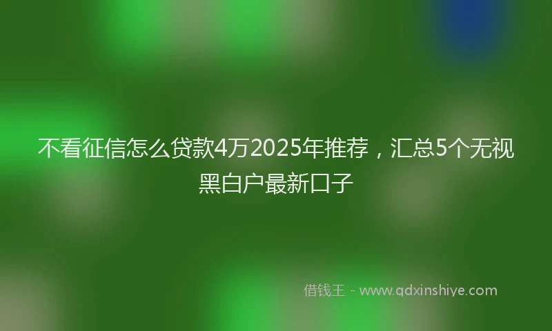 不看征信怎么贷款4万2025年推荐，汇总5个无视黑白户最新口子