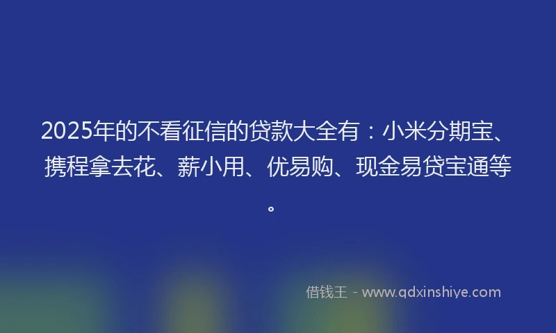 2025年的不看征信的贷款大全有：小米分期宝、携程拿去花、薪小用、优易购、现金易贷宝通等。