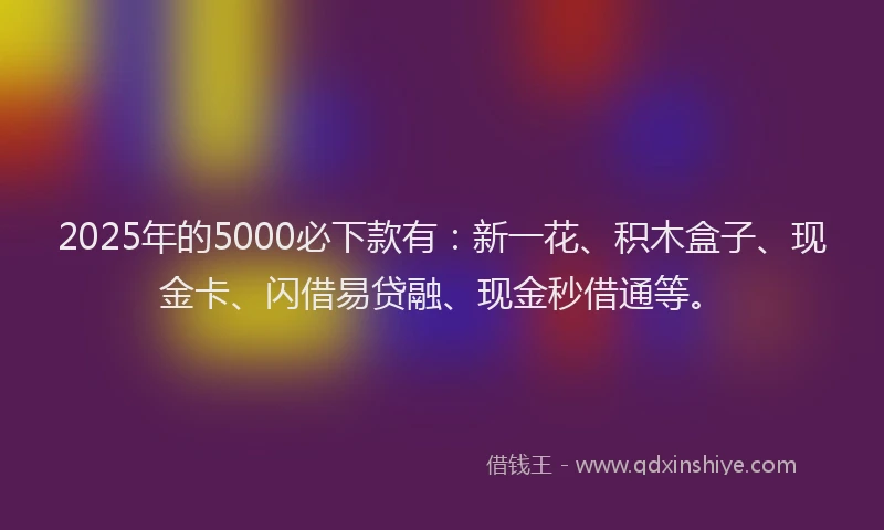 2025年的5000必下款有：新一花、积木盒子、现金卡、闪借易贷融、现金秒借通等。