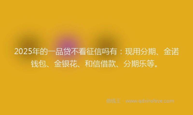 2025年的一品贷不看征信吗有：现用分期、金诺钱包、金银花、和信借款、分期乐等。