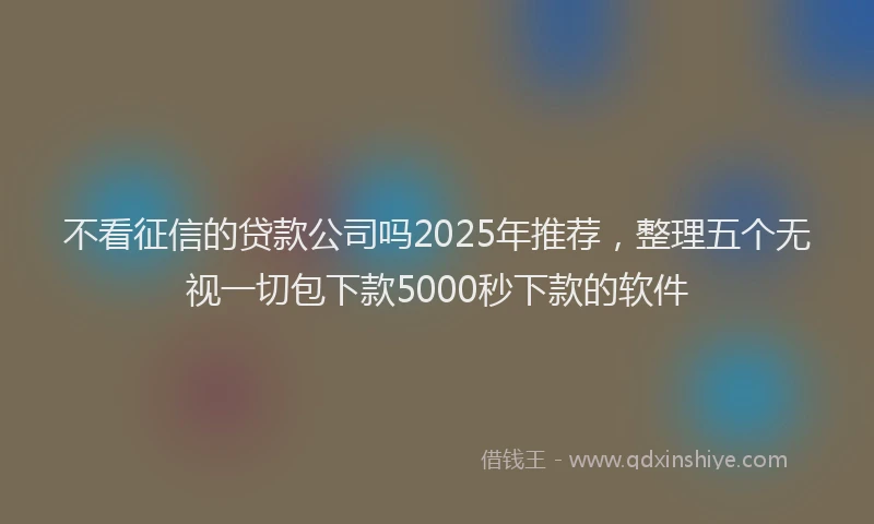 不看征信的贷款公司吗2025年推荐，整理五个无视一切包下款5000秒下款的软件