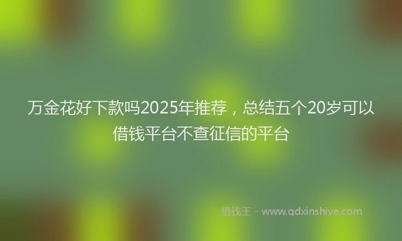 万金花好下款吗2025年推荐，总结五个20岁可以借钱平台不查征信的平台