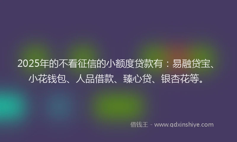 2025年的不看征信的小额度贷款有：易融贷宝、小花钱包、人品借款、臻心贷、银杏花等。