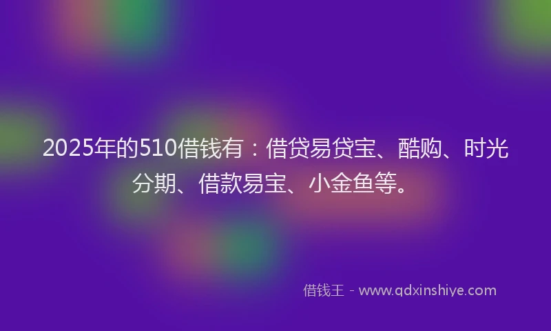 2025年的510借钱有：借贷易贷宝、酷购、时光分期、借款易宝、小金鱼等。