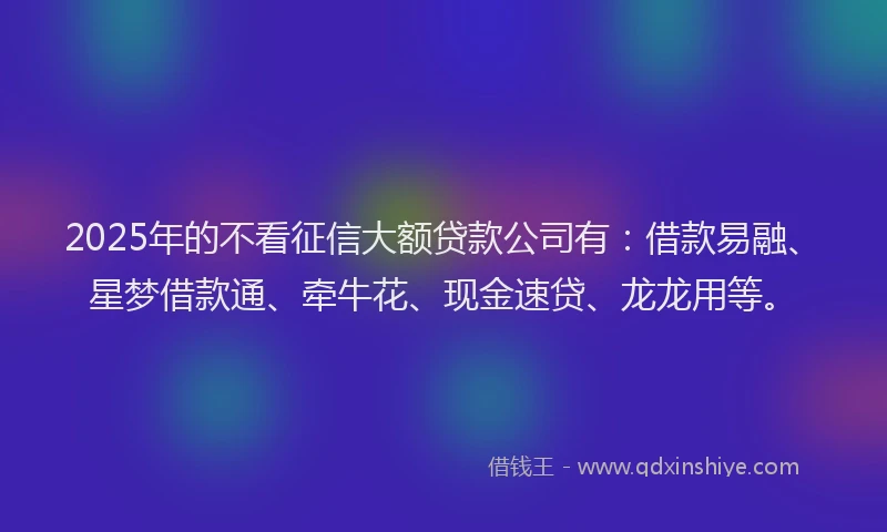 2025年的不看征信大额贷款公司有：借款易融、星梦借款通、牵牛花、现金速贷、龙龙用等。