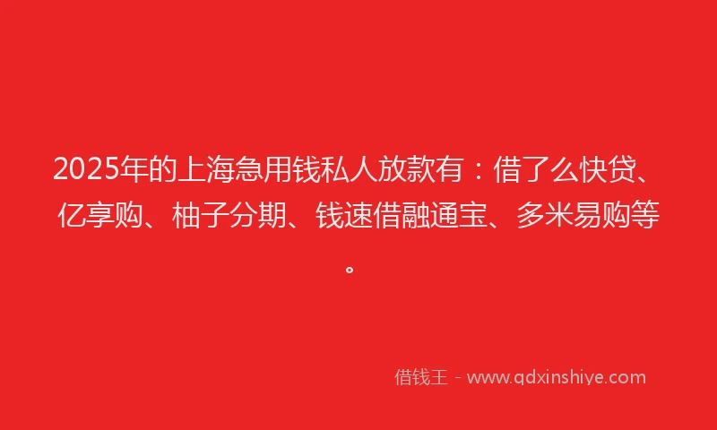 2025年的上海急用钱私人放款有：借了么快贷、亿享购、柚子分期、钱速借融通宝、多米易购等。