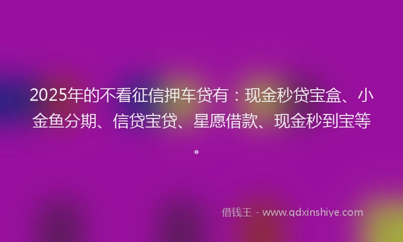 2025年的不看征信押车贷有：现金秒贷宝盒、小金鱼分期、信贷宝贷、星愿借款、现金秒到宝等。