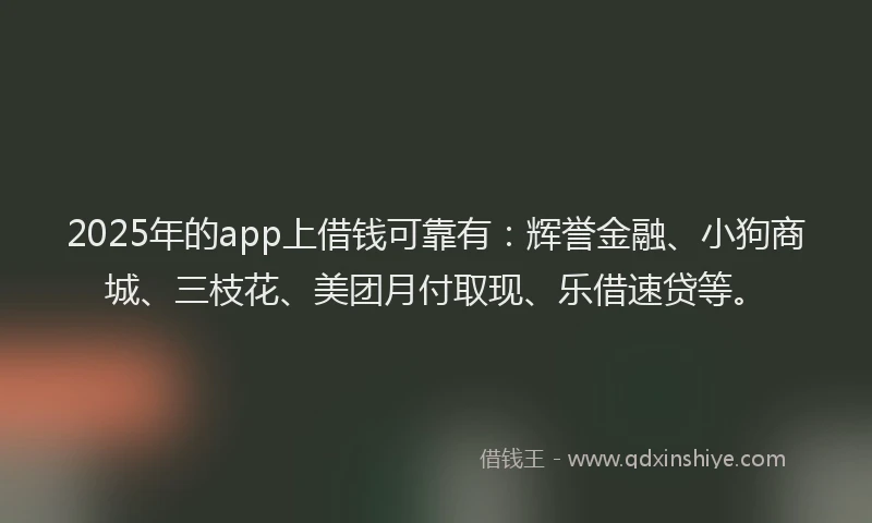 2025年的app上借钱可靠有：辉誉金融、小狗商城、三枝花、美团月付取现、乐借速贷等。