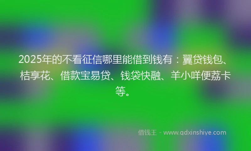 2025年的不看征信哪里能借到钱有：翼贷钱包、桔享花、借款宝易贷、钱袋快融、羊小咩便荔卡等。