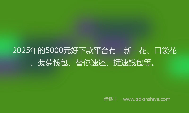 2025年的5000元好下款平台有：新一花、口袋花、菠萝钱包、替你速还、捷速钱包等。