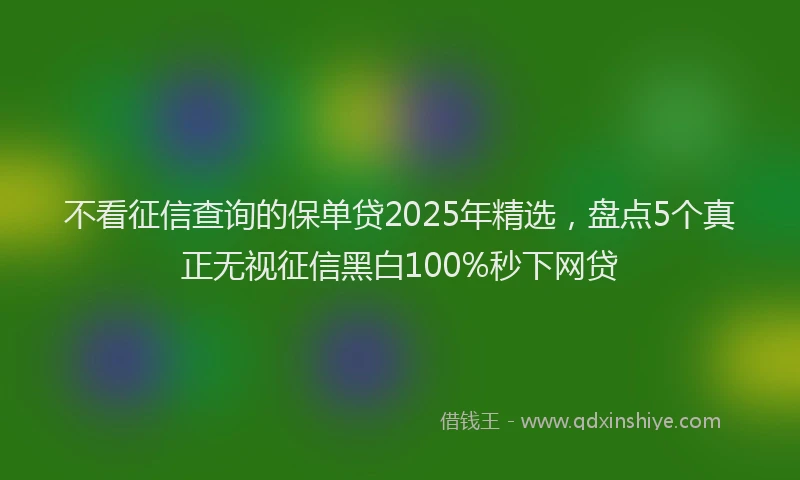 不看征信查询的保单贷2025年精选，盘点5个真正无视征信黑白100%秒下网贷
