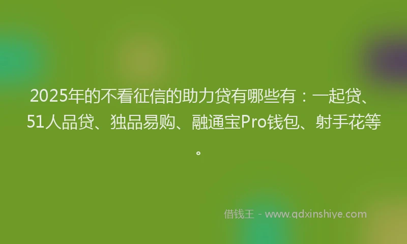2025年的不看征信的助力贷有哪些有：一起贷、51人品贷、独品易购、融通宝Pro钱包、射手花等。