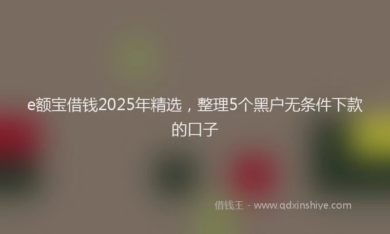 e额宝借钱2025年精选，整理5个黑户无条件下款的口子