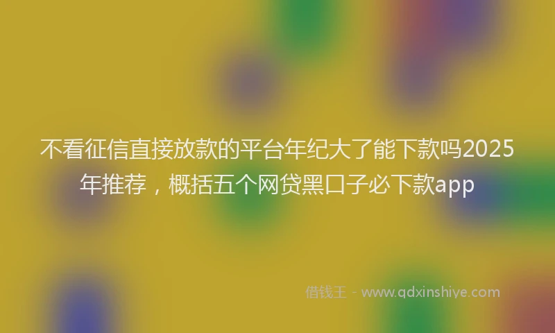 不看征信直接放款的平台年纪大了能下款吗2025年推荐，概括五个网贷黑口子必下款app