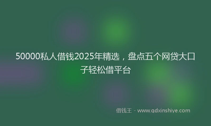 50000私人借钱2025年精选，盘点五个网贷大口子轻松借平台