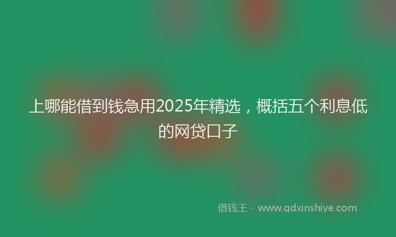 上哪能借到钱急用2025年精选，概括五个利息低的网贷口子