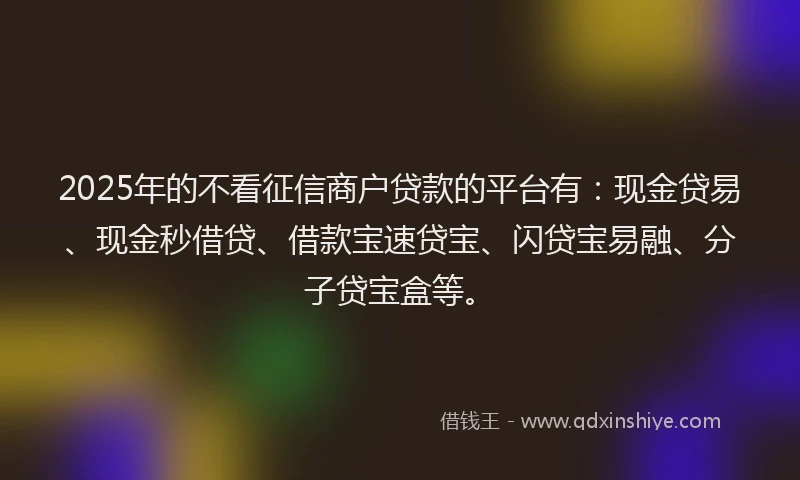 2025年的不看征信商户贷款的平台有：现金贷易、现金秒借贷、借款宝速贷宝、闪贷宝易融、分子贷宝盒等。