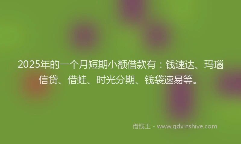 2025年的一个月短期小额借款有：钱速达、玛瑙信贷、借蛙、时光分期、钱袋速易等。