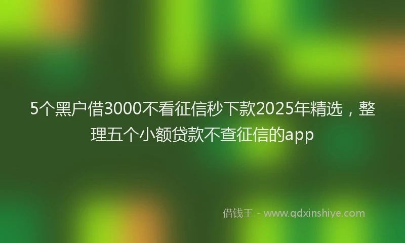 5个黑户借3000不看征信秒下款2025年精选，整理五个小额贷款不查征信的app