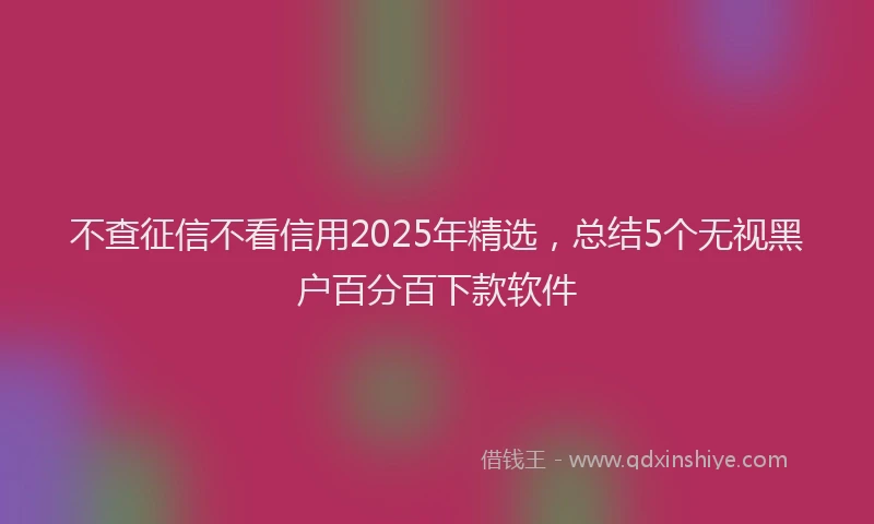 不查征信不看信用2025年精选，总结5个无视黑户百分百下款软件