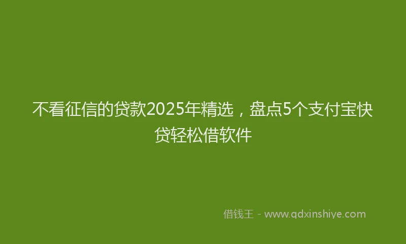 不看征信的贷款2025年精选，盘点5个支付宝快贷轻松借软件