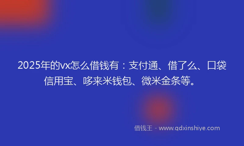 2025年的vx怎么借钱有：支付通、借了么、口袋信用宝、哆来米钱包、微米金条等。