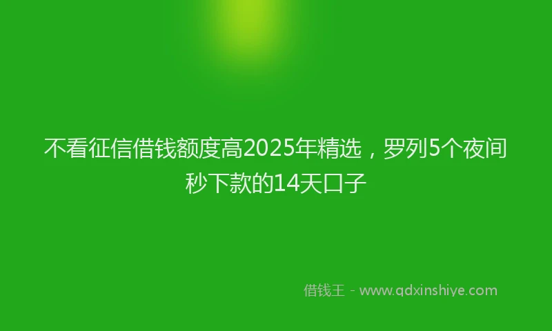 不看征信借钱额度高2025年精选，罗列5个夜间秒下款的14天口子