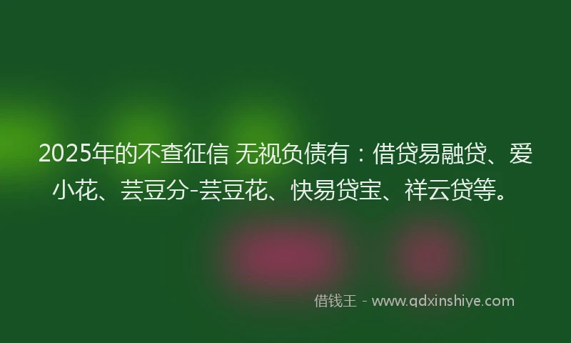 2025年的不查征信 无视负债有：借贷易融贷、爱小花、芸豆分-芸豆花、快易贷宝、祥云贷等。