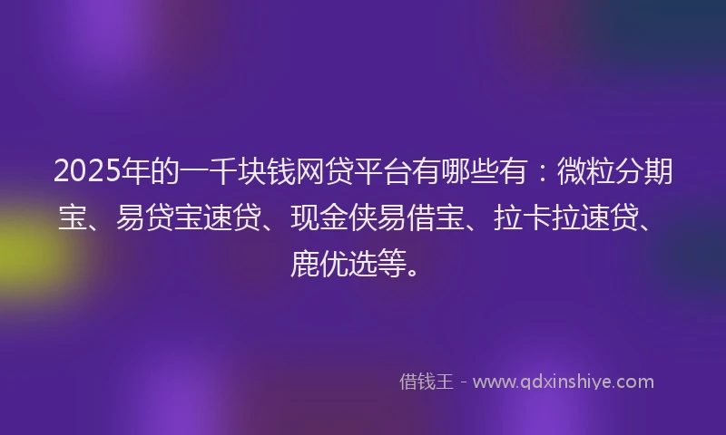 2025年的一千块钱网贷平台有哪些有：微粒分期宝、易贷宝速贷、现金侠易借宝、拉卡拉速贷、鹿优选等。