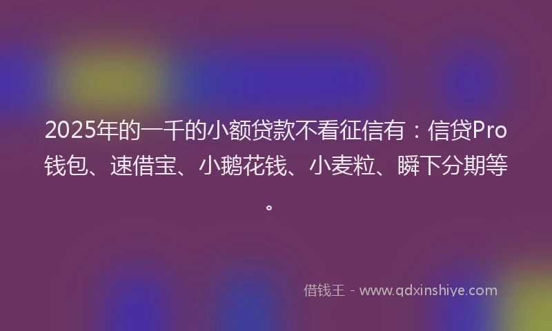 2025年的一千的小额贷款不看征信有：信贷Pro钱包、速借宝、小鹅花钱、小麦粒、瞬下分期等。