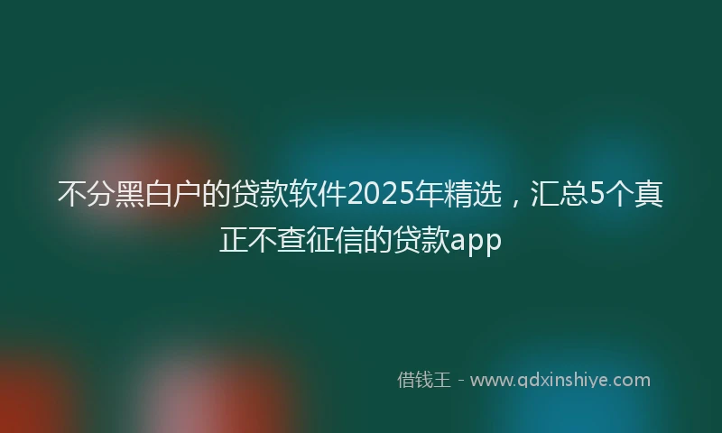 不分黑白户的贷款软件2025年精选，汇总5个真正不查征信的贷款app