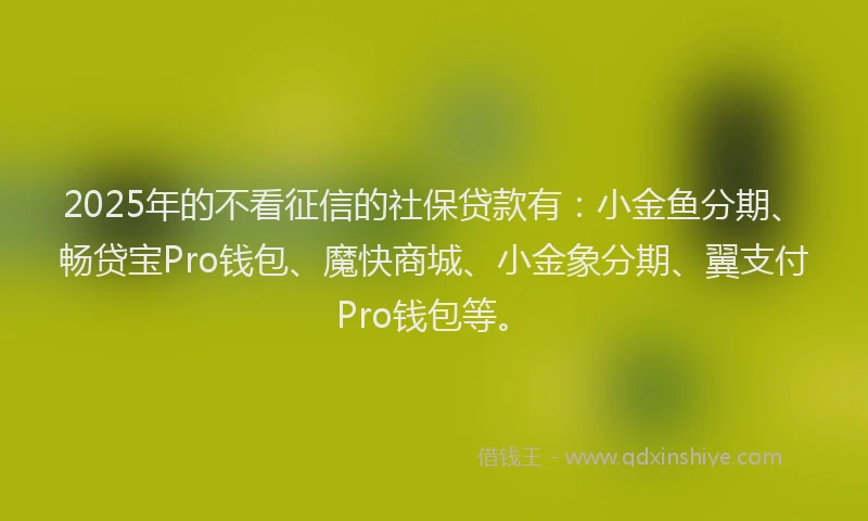 2025年的不看征信的社保贷款有：小金鱼分期、畅贷宝Pro钱包、魔快商城、小金象分期、翼支付Pro钱包等。
