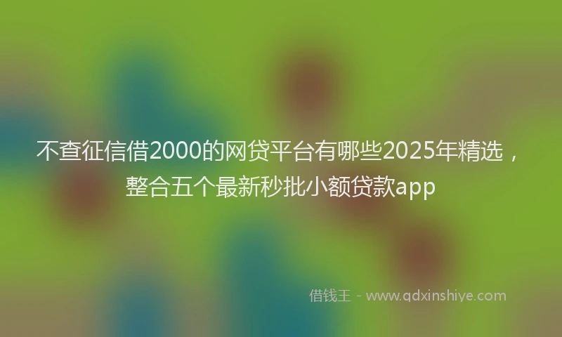 不查征信借2000的网贷平台有哪些2025年精选，整合五个最新秒批小额贷款app