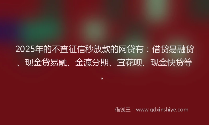 2025年的不查征信秒放款的网贷有：借贷易融贷、现金贷易融、金瀛分期、宜花呗、现金快贷等。