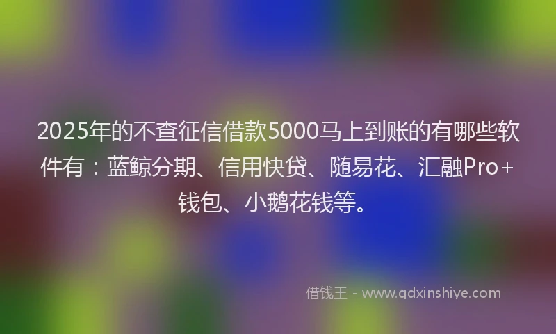 2025年的不查征信借款5000马上到账的有哪些软件有：蓝鲸分期、信用快贷、随易花、汇融Pro+钱包、小鹅花钱等。