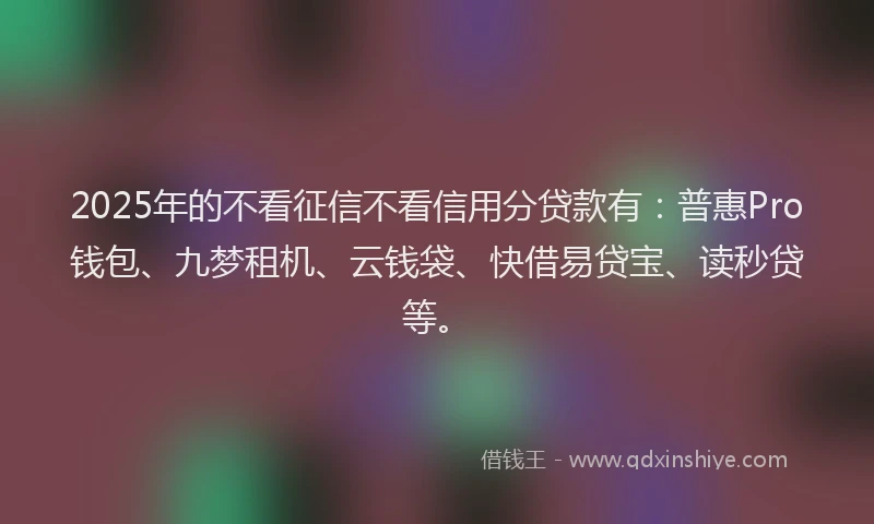 2025年的不看征信不看信用分贷款有：普惠Pro钱包、九梦租机、云钱袋、快借易贷宝、读秒贷等。