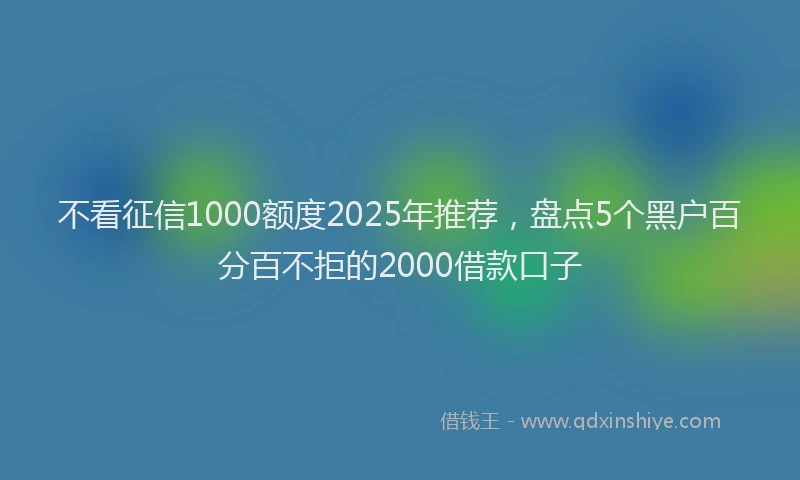不看征信1000额度2025年推荐，盘点5个黑户百分百不拒的2000借款口子