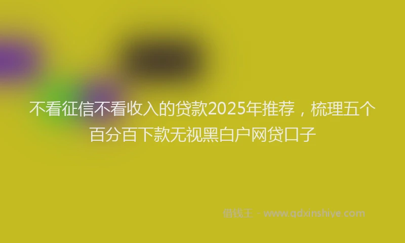 不看征信不看收入的贷款2025年推荐，梳理五个百分百下款无视黑白户网贷口子