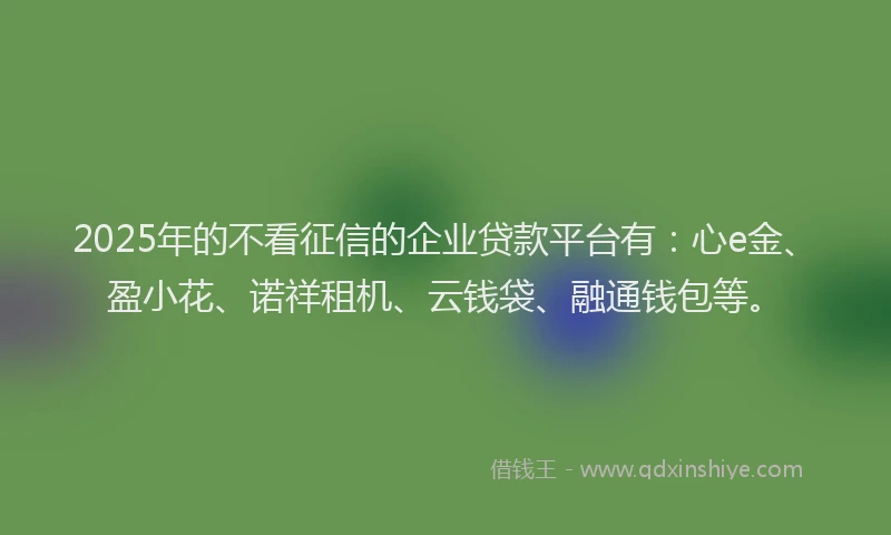 2025年的不看征信的企业贷款平台有：心e金、盈小花、诺祥租机、云钱袋、融通钱包等。