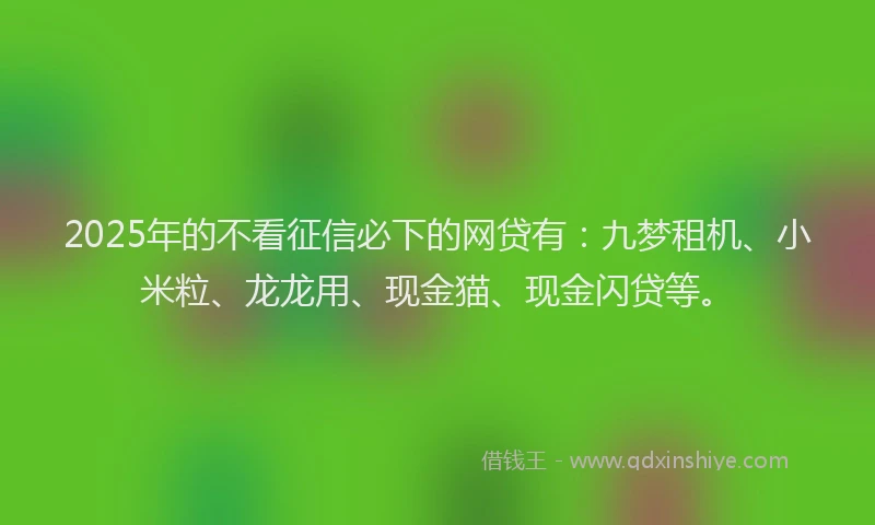 2025年的不看征信必下的网贷有：九梦租机、小米粒、龙龙用、现金猫、现金闪贷等。