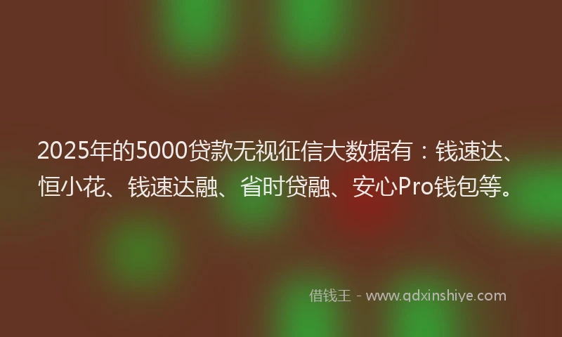 2025年的5000贷款无视征信大数据有：钱速达、恒小花、钱速达融、省时贷融、安心Pro钱包等。